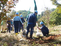 P1010185.jpg
