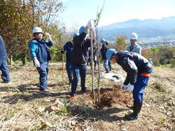 P1010256.jpg